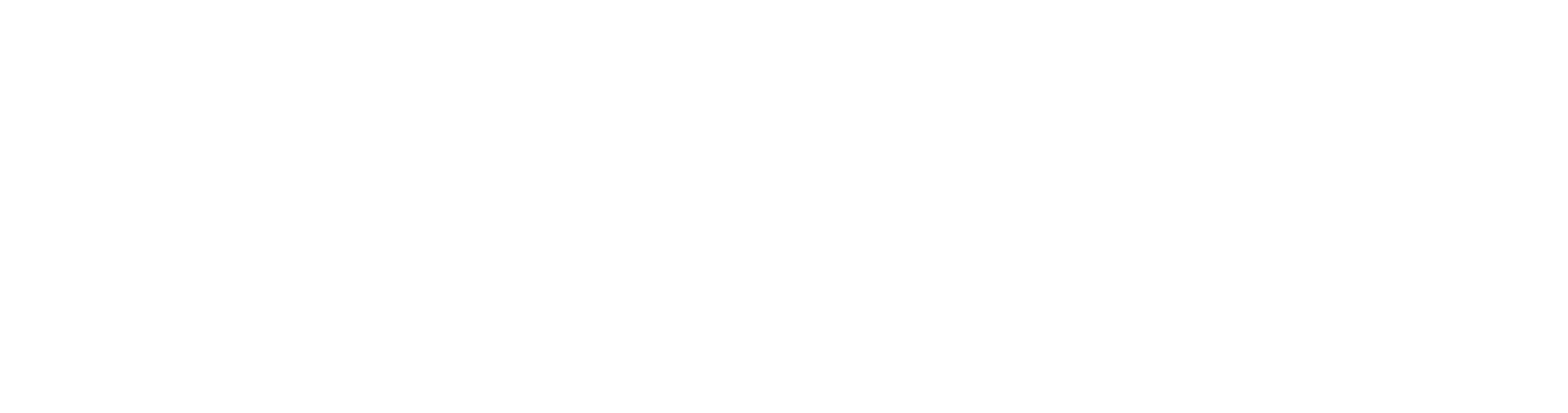 IAA Market Alliance Baltic Auto Shipping